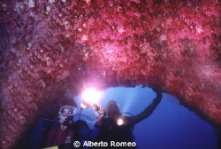 A very rare cave with the ceiling full of  Red Coral (Cor... by Alberto Romeo 
